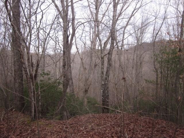 0 Sparks Way, Talking Rock, GA 30175