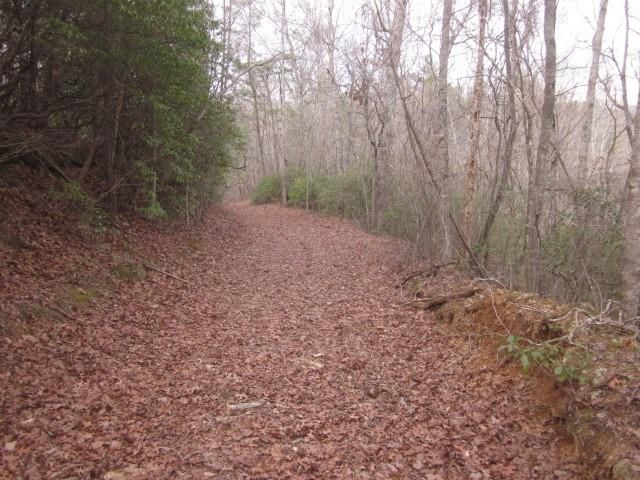 0 Sparks Way, Talking Rock, GA 30175