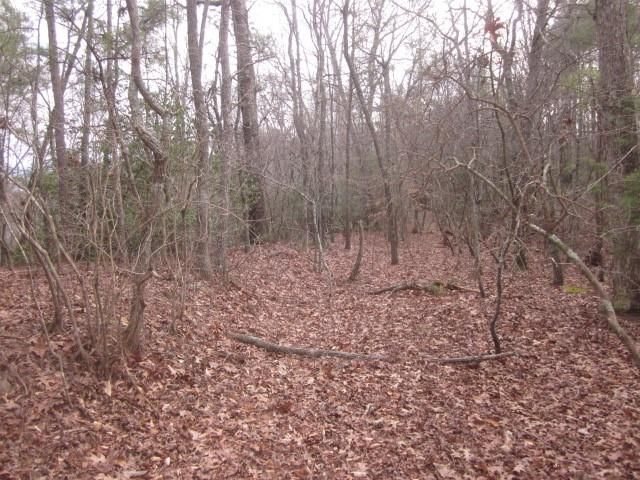 0 Sparks Way, Talking Rock, GA 30175