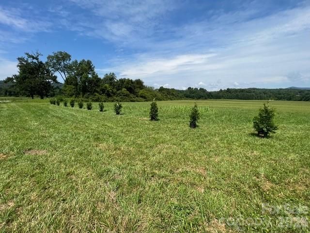 Mini Farm 3 TBD Coventry Drive, Brevard, NC 28712
