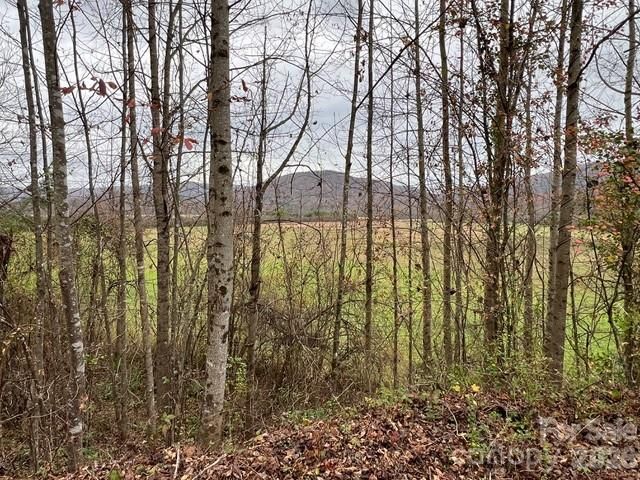 Mini Farm 3 TBD Coventry Drive, Brevard, NC 28712