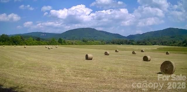 Mini Farm 3 TBD Coventry Drive, Brevard, NC 28712