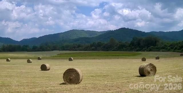 Mini Farm 3 TBD Coventry Drive, Brevard, NC 28712