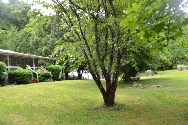 1557 Add Stafford Rd, Hilham, TN 38568
