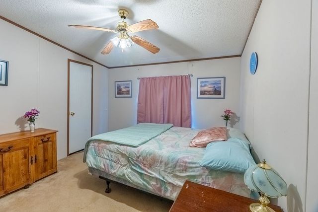 1955 Guthrie Rd, Guthrie, KY 42234