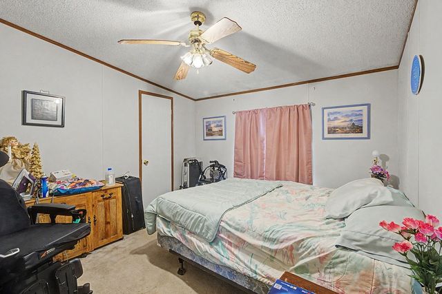 1955 Guthrie Rd, Guthrie, KY 42234