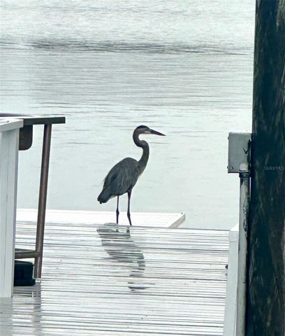 644 BAYSHORE DRIVE, Tarpon Springs, FL 34689