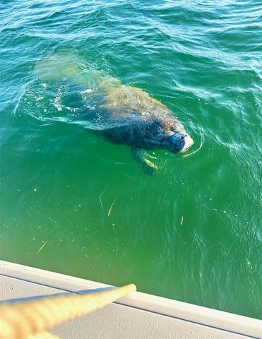 644 BAYSHORE DRIVE, Tarpon Springs, FL 34689