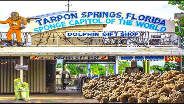 644 BAYSHORE DRIVE, Tarpon Springs, FL 34689