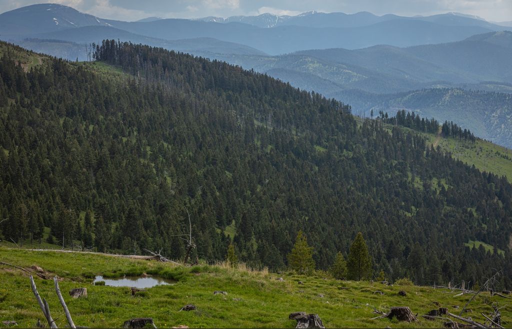 Tract 1,2,3,16 Garnet Range, Drummond, MT 59832 photo 10