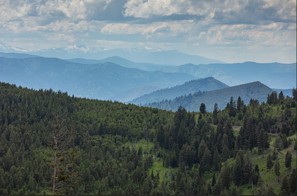 Tract 1,2,3,16 Garnet Range, Drummond, MT 59832 photo 11