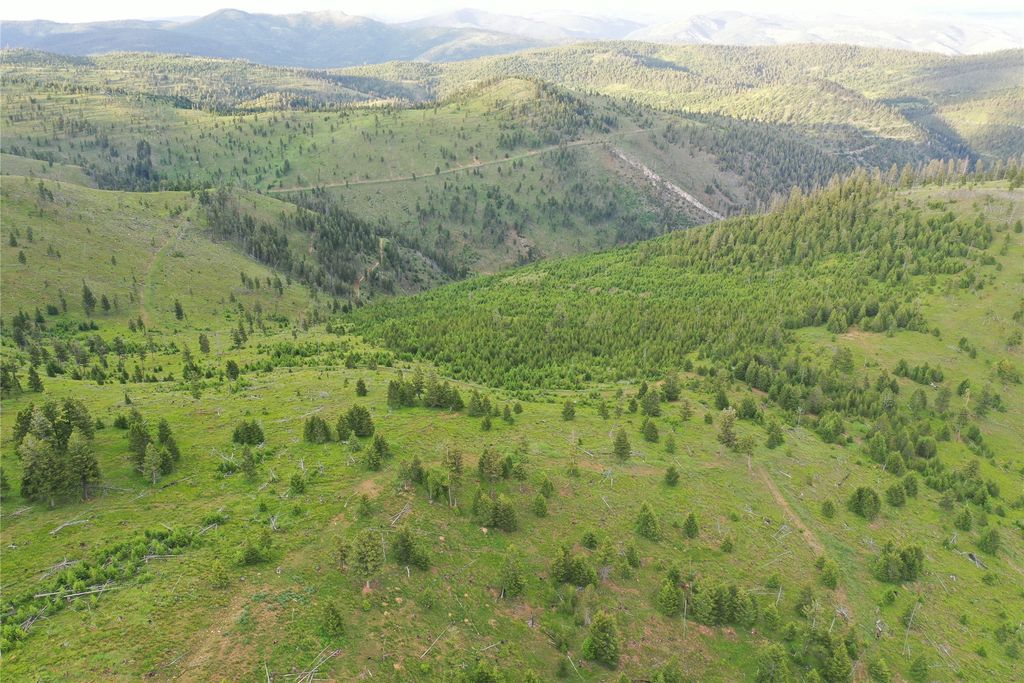 Tract 1,2,3,16 Garnet Range, Drummond, MT 59832 photo 4