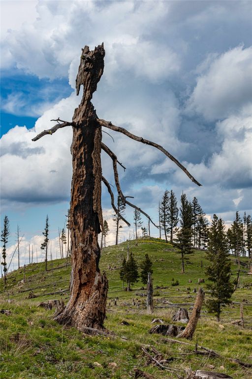 Tract 1,2,3,16 Garnet Range, Drummond, MT 59832 photo 9