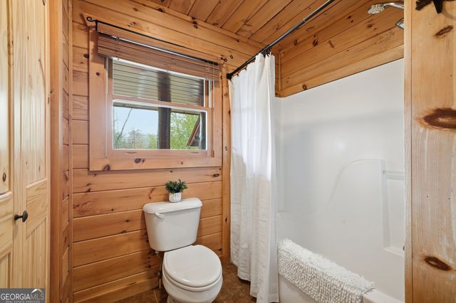 133 Dallas Lane, Blue Ridge, GA 30513