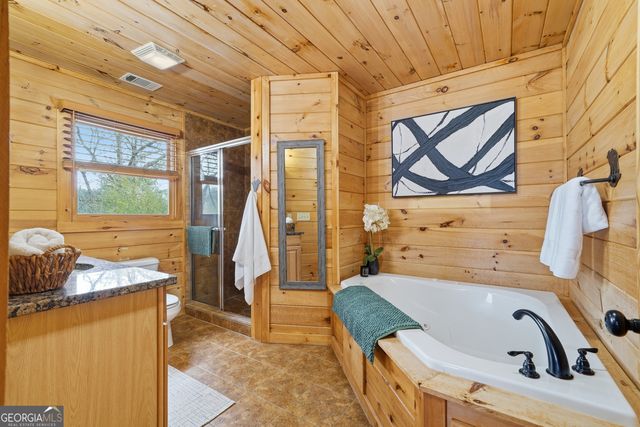 133 Dallas Lane, Blue Ridge, GA 30513