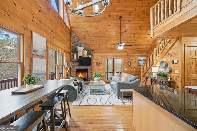 133 Dallas Lane, Blue Ridge, GA 30513