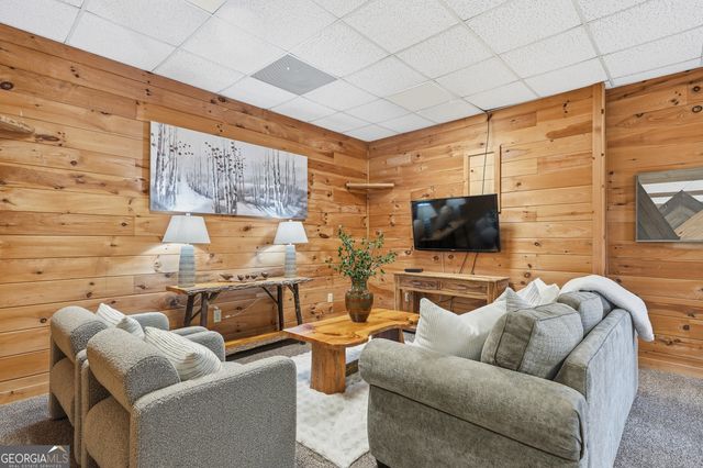 133 Dallas Lane, Blue Ridge, GA 30513