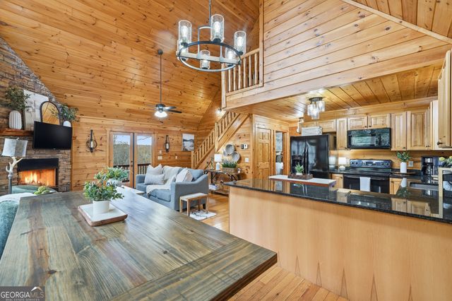 133 Dallas Lane, Blue Ridge, GA 30513