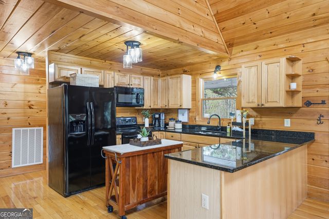 133 Dallas Lane, Blue Ridge, GA 30513