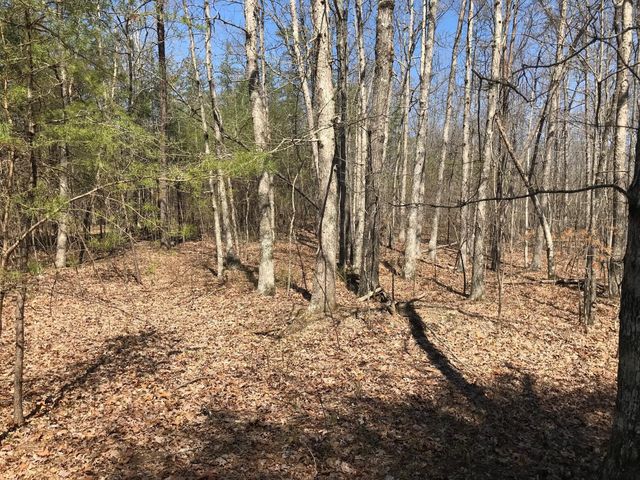 0 Greenfields Way N, Dunlap, TN 37327