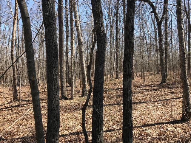 0 Greenfields Way N, Dunlap, TN 37327