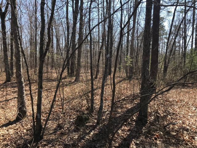 0 Greenfields Way N, Dunlap, TN 37327