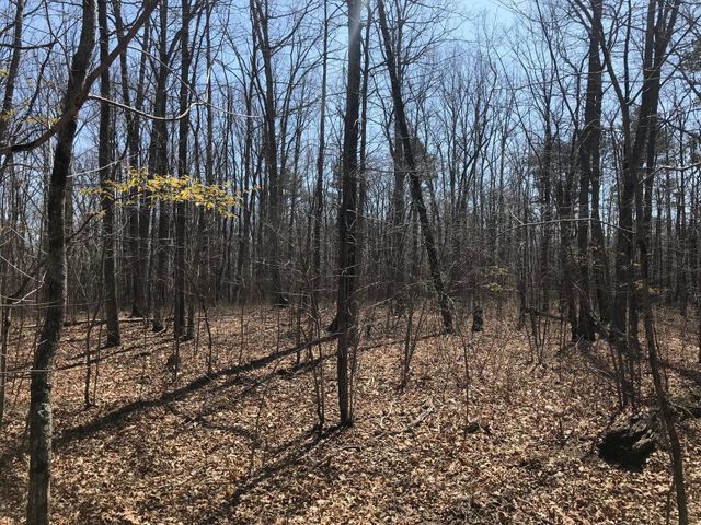 0 Greenfields Way N, Dunlap, TN 37327