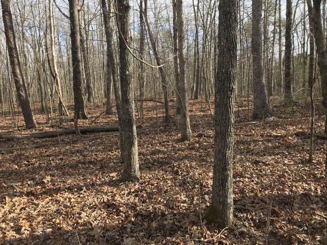 0 Greenfields Way N, Dunlap, TN 37327