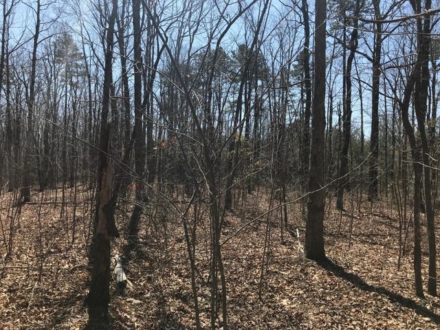 0 Greenfields Way N, Dunlap, TN 37327