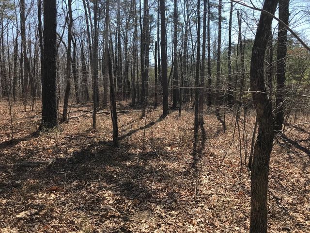 0 Greenfields Way N, Dunlap, TN 37327