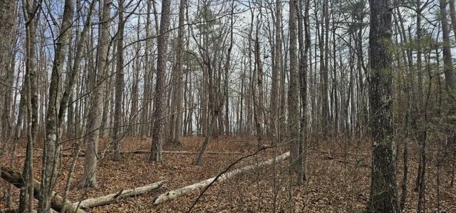 0 Greenfields Way N, Dunlap, TN 37327