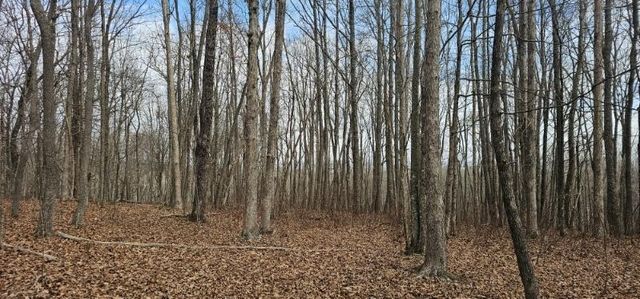 0 Greenfields Way N, Dunlap, TN 37327