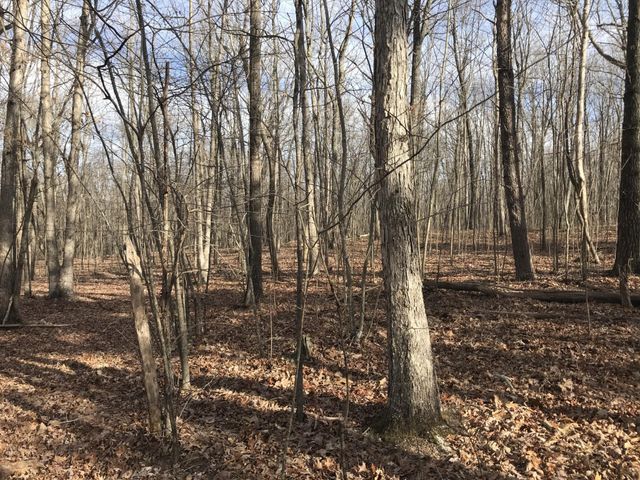 0 Greenfields Way N, Dunlap, TN 37327