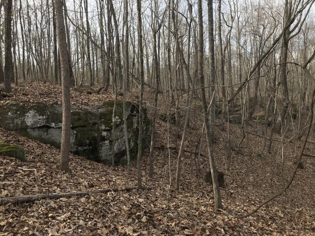 0 Greenfields Way N, Dunlap, TN 37327