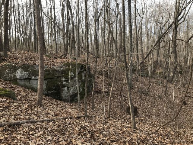 0 Greenfields Way N, Dunlap, TN 37327