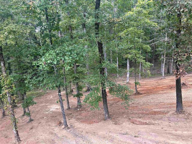 196 Stevenson Rd Road, Gurdon, AR 71743