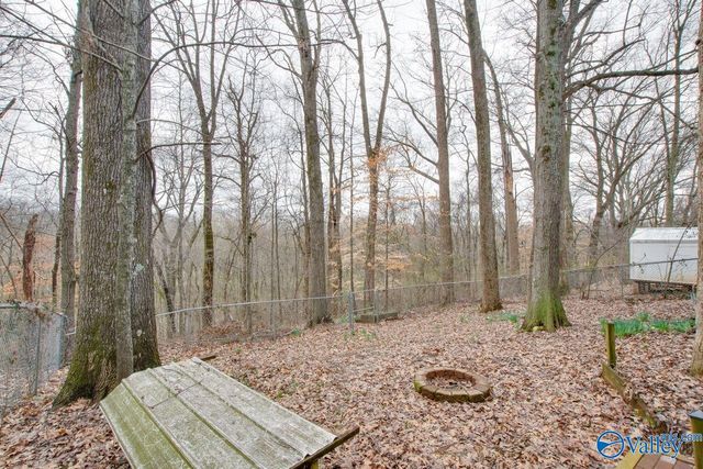 143 Rebecca Pines Drive, Madison, AL 35758