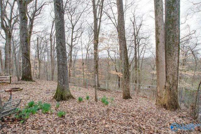 143 Rebecca Pines Drive, Madison, AL 35758