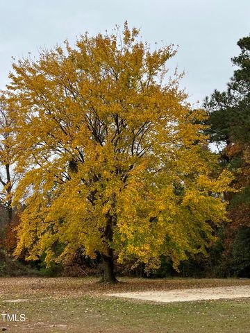 2122 Godwin Lake Road, Benson, NC 27504