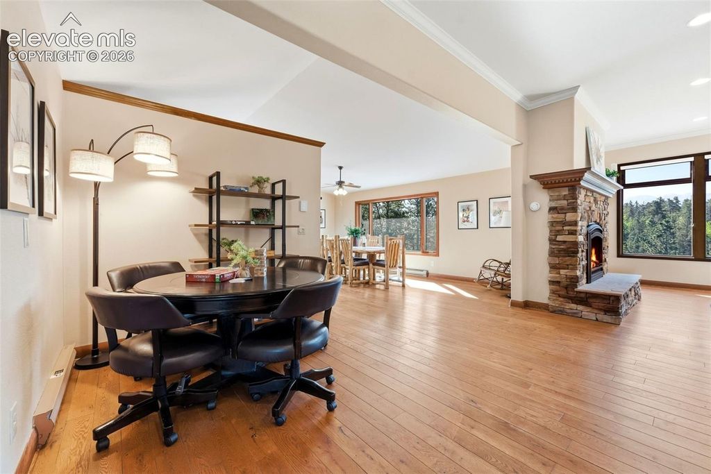 1509 County Road 25, Divide, CO 80814 — photo 3