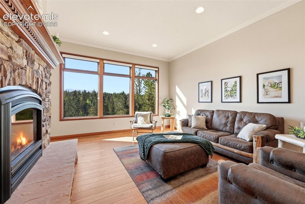 1509 County Road 25, Divide, CO 80814 — photo 5