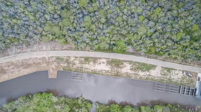 23081 Carter Plantation Dr, Springfield, LA 70462