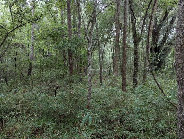 33 Middleton Oaks Road, Charleston, SC 29414