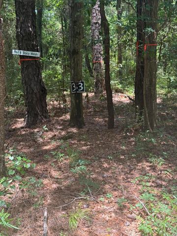 33 Middleton Oaks Road, Charleston, SC 29414