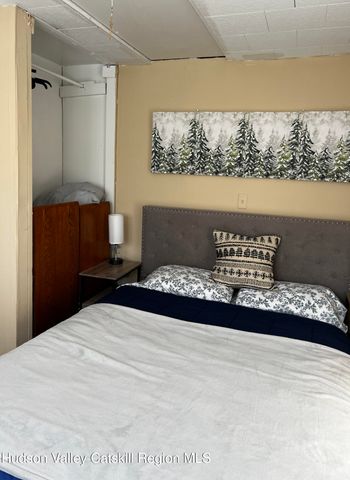 513 County Road 17, Jewett, NY 12444