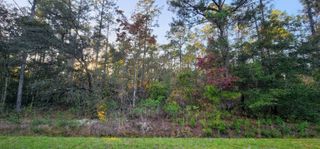 10165 Hennessey Ave, Hastings, FL 32145