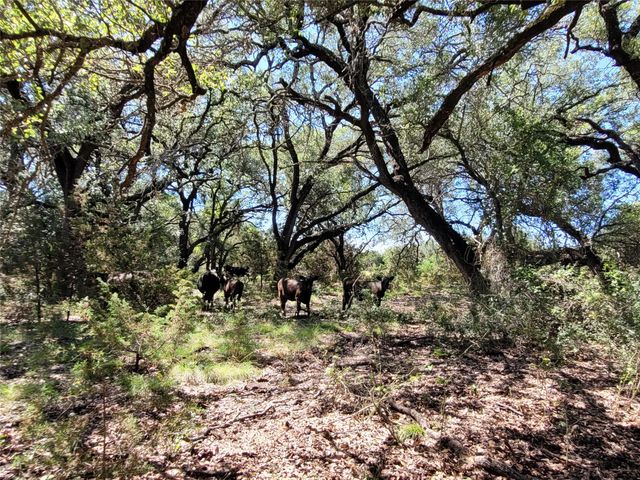 TBD CR 1139 575 Acres, Lampasas, TX 76550