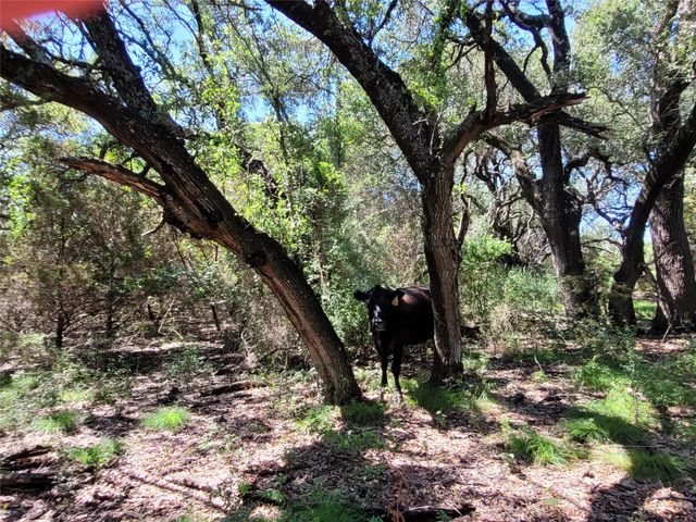 TBD CR 1139 575 Acres, Lampasas, TX 76550