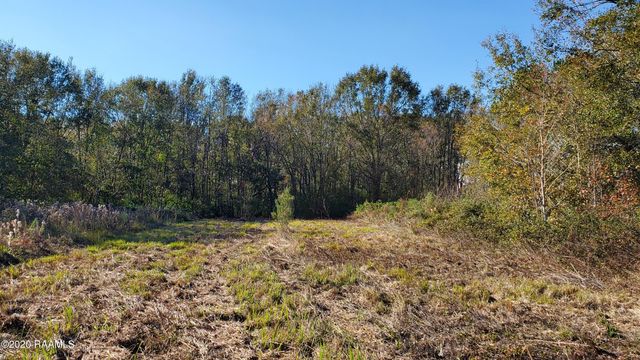 2938 Ambassador Caffery Parkway, Lafayette, LA 70506