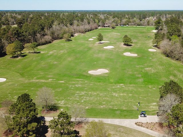 30 Lamerie Way, The Woodlands, TX 77382